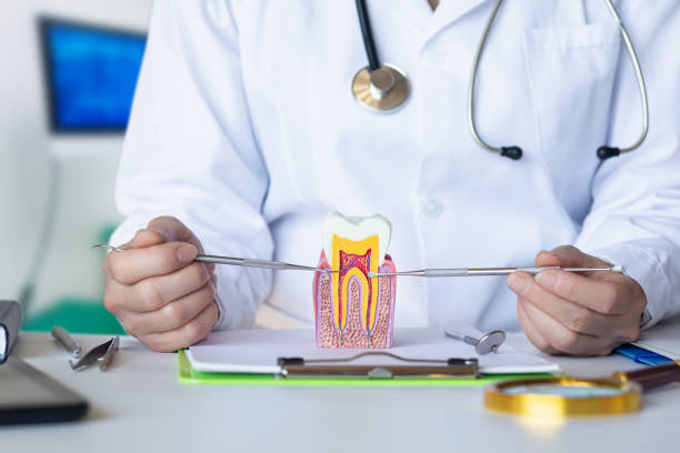 Best Dental Abscess Treatment in Jackson, MN